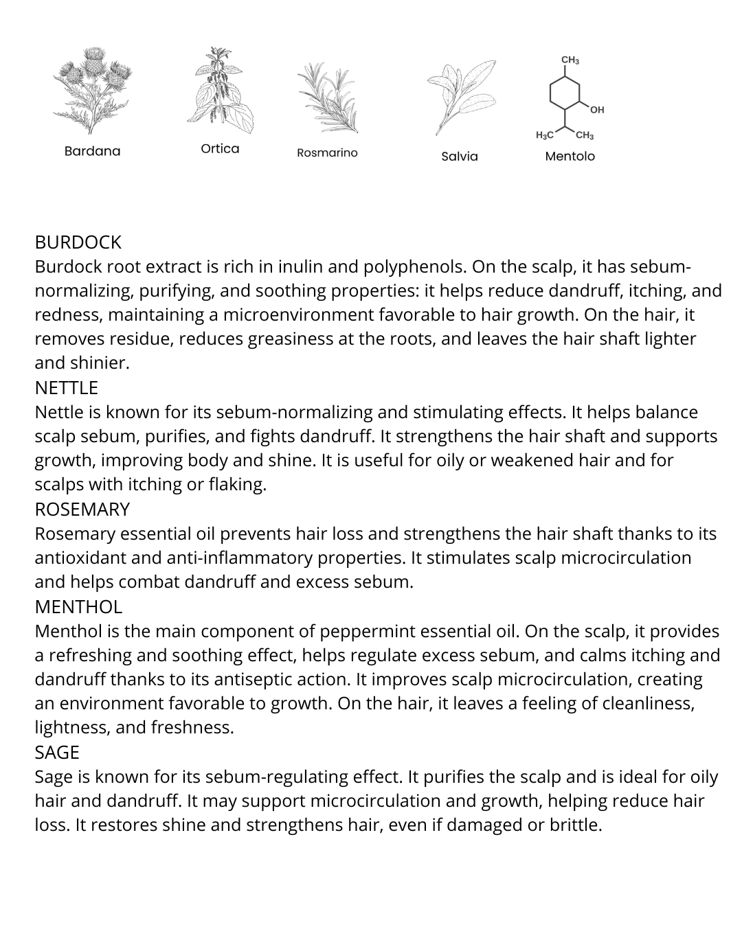 Detox Shampoo - Sebum-Balancing Purifying Shampoo for Oily Scalp