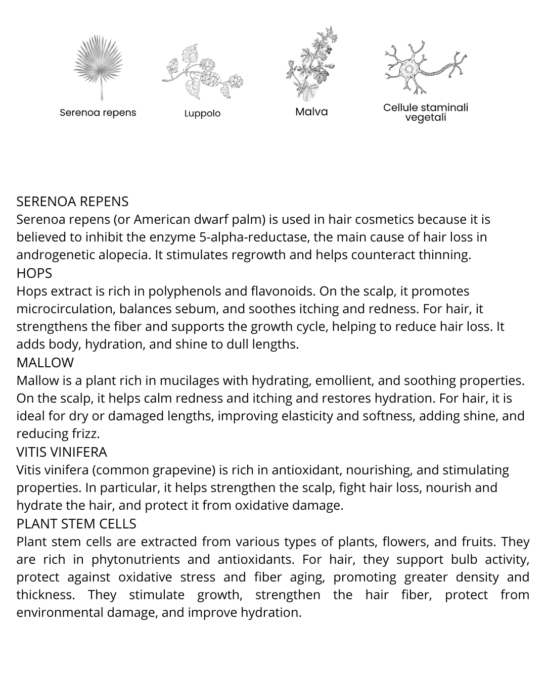 Energizing  Lotion - Hair Fortifying Scalp Lotion for Excessive Hair Loss